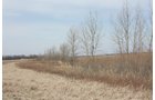 Property photo 1 - 194.67 Acres Offered in 2 Tracts